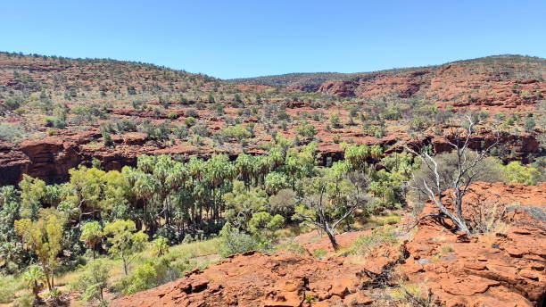 istock Absolute outback of the Northern Territory, Australia 1494340057