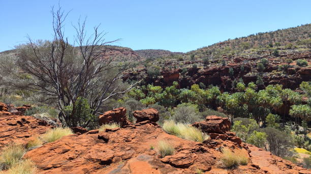 absolutes outback des northern territory, australien - 11880 stock-fotos und bilder