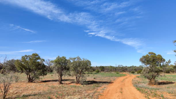 istock Along the Oodnadatta track in South Australia 1494340245