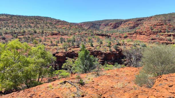 istock Absolute outback of the Northern Territory, Australia 1494341420