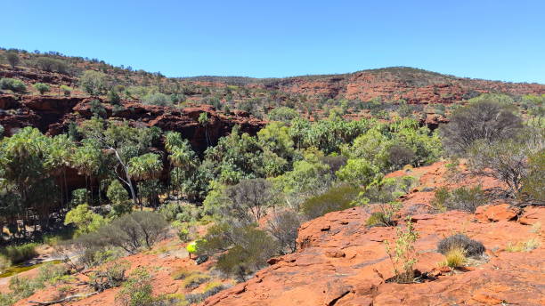 istock Absolute outback of the Northern Territory, Australia 1494341498