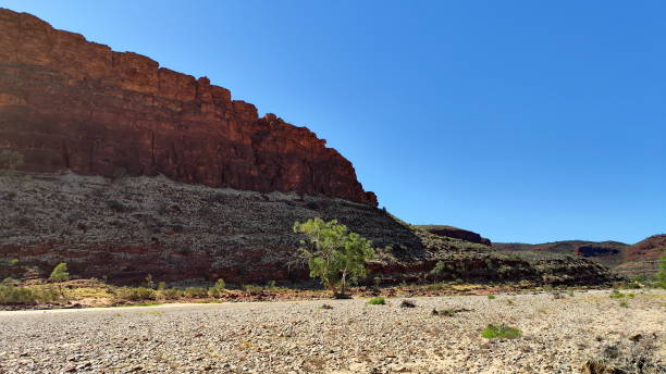 istock Absolute outback of the Northern Territory, Australia 1494341860