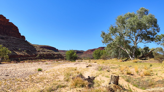 Red outback centre of Australia in Finke Gorge National Park