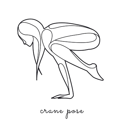 Woman practicing yoga, crane pose, line style illustration