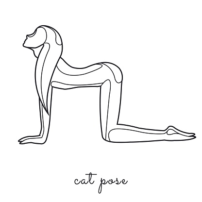 Woman practicing yoga, cat pose, line style illustration