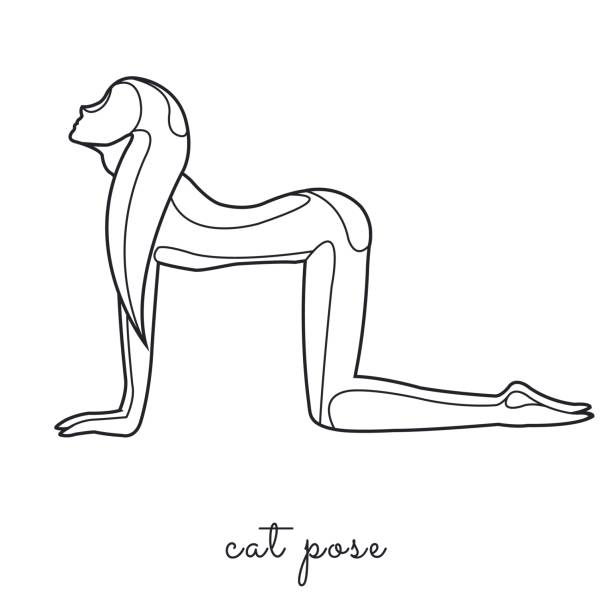 Woman practicing yoga, camel pose, line style illustration Woman practicing yoga, cat pose, line style illustration cat pose yoga stock illustrations