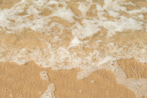 istock Transparent wave with white foam over the golden sand. Crystal clear sandy beach. Background with eco friendly place for rest. 1494345613