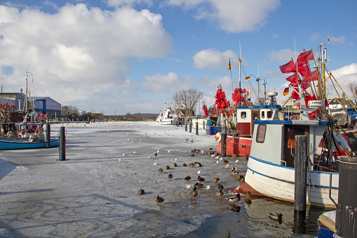 Winter in Niendorfer Hafen, Timmendorfer Strand, Schleswig-Holstein