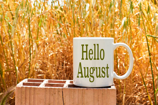 istock hello august concept on white coffee mockup cup above brick with spike background 1494346226