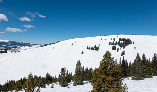 View of ski slope in Colorado ski resort on clear winter day; spruces, pine trees, blue sky and mountains in background