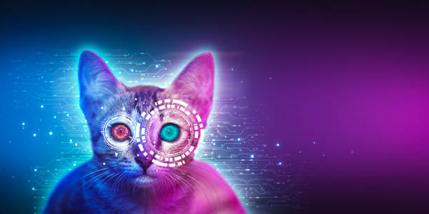 zabawny cyber kot z dużymi oczami na cyfrowym ciemnym tle. koncepcja technologii sztucznej inteligencji - big eyes obrazy zdjęcia i obrazy z banku zdjęć