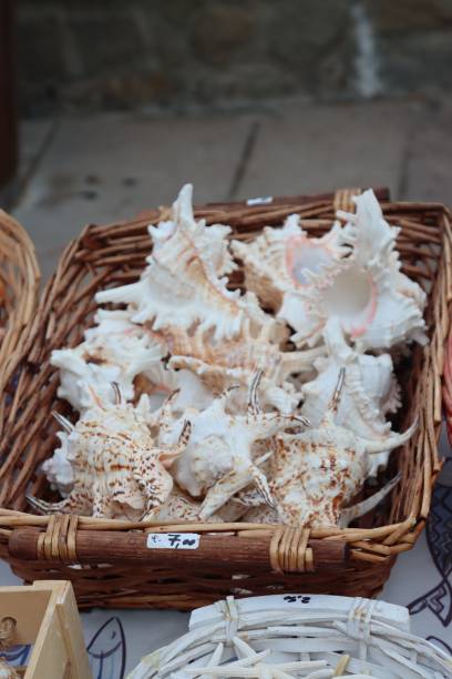 istock Basket with lots of shells in it sitting on the table 1494349640