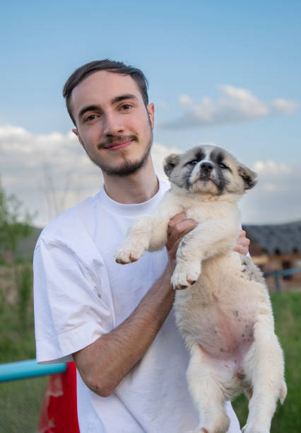 Young man looking at camera with puppy kangal dog while outing in nature