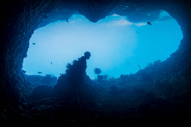Mystic Light in Shallow Underwater Tunnel, Triton Bay, Indonesia stock photo
