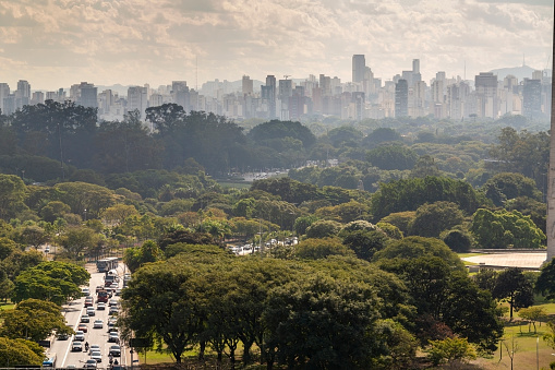 Aerial view of Sao Paulo city.