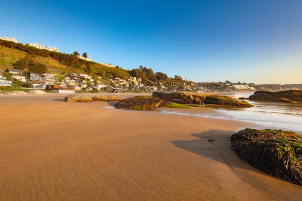 Maitencillo in the coast of central Chile