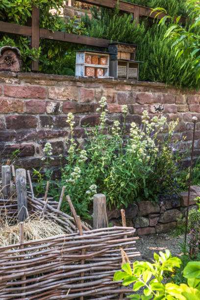 istock Natural garden with native plants, stone wall, compost and insect hotels, bug hotels, insect houses. Natural gardening concept. Vertical. 1494355155
