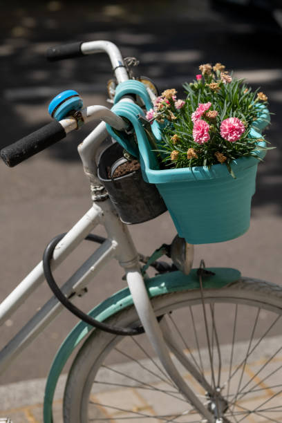 istock a bicycle with a decorative flower basket 1494356690
