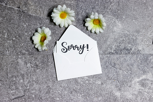 white envelope with sorry concept and daisy flowers on gray grunge background