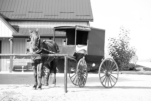 Amish en otoño