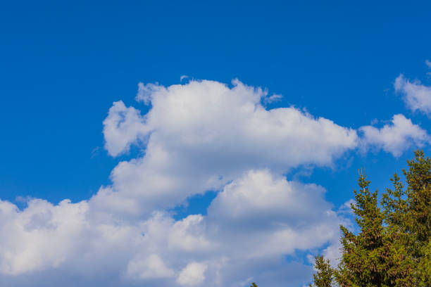 Beautiful nature backgrounds.  Puffy white clouds on  blue sky background on bright day.