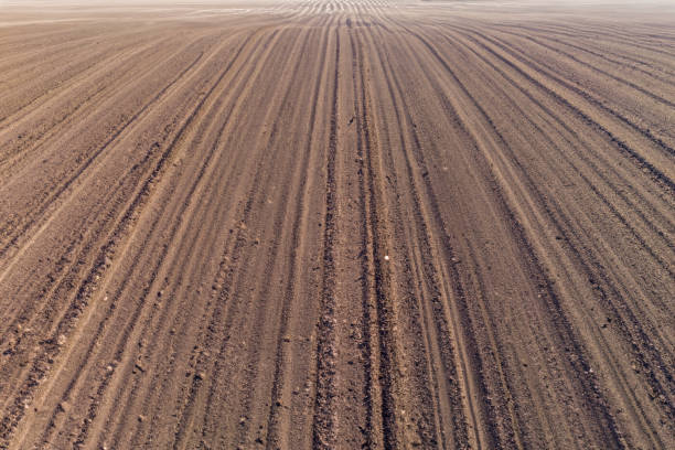istock Aerial view ; Rows of soil before planting. Furrows row pattern in a plowed field prepared for planting crops in spring. Aerial view of land prepared for planting and cultivating the crop. 1494361115