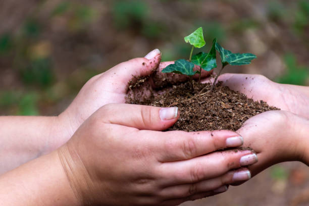 istock Big hands pass the earth with a seedling to small hands 1494361732