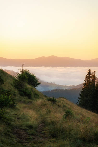 wschód słońca w karpatach. poranek w drewnie. kolorowy krajobraz z lasami we mgle, promienie słońca, niebo, las o świcie jesienią. widok z góry - mountain mist fog lake zdjęcia i obrazy z banku zdjęć