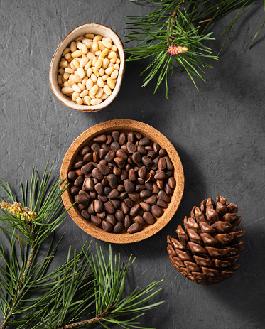 Pine nuts (cedar) in a bowl and a handful of unpeeled nuts on a gray background with a branch of pine needles. Healthy diet snack. Top view and copy space.