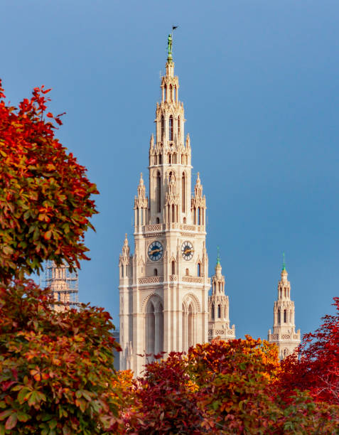 istock Vienna City Hall tower in autumn, Austria 1494374778