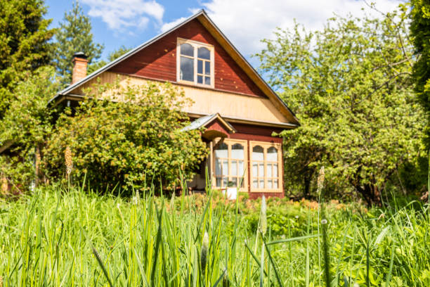 istock high green grass and wooden cottage on backyard 1494376745