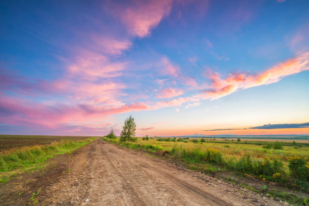 istock Rural landscape with ground road at beautiful summer sunset 1494377189
