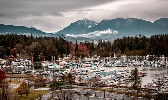 A beautiful shot of snowy mountains near the port in the fall in Stanley Park, Vancouver
