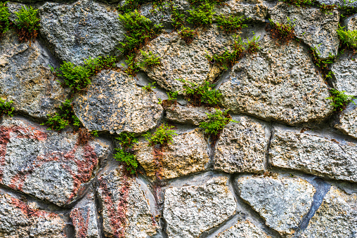 Background, pattern. Rustic natural stones wall with green moss and plants.