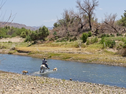 Big Bend national park, TX - USA, May 2, 2023. A Mexican citizen crosses the Rio Grand back to Mexico after checking a cash box at an arts and craft vending stand in Big Bend National Park. Riding on a horse with his two dogs across the river. Near Daniels Camp picnic area.