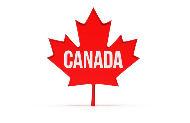 Canada Day 3D render illustration isolated on white  background with shadow