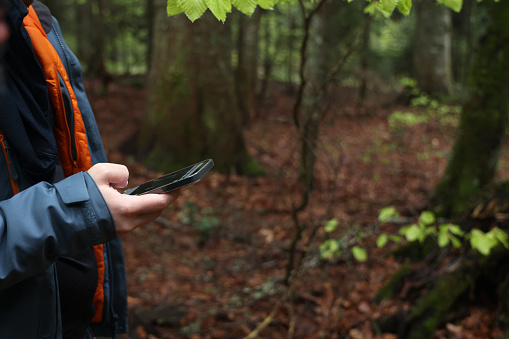 Man using smartphone in forest