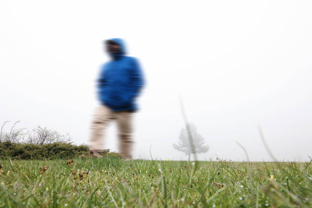 The traveler man walking in mountain