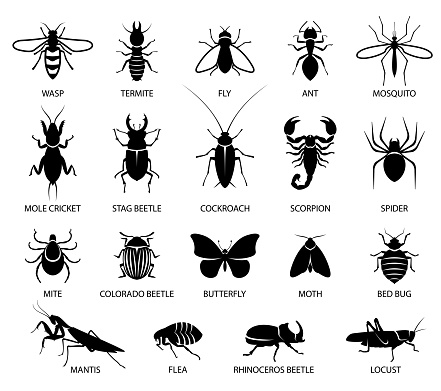 Insects icon set. Signs of a variety of insects, butterflies, pests and parasites. Pest control. Vector illustration