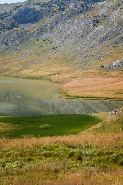 istock High mountain landscape at summer 1494394911