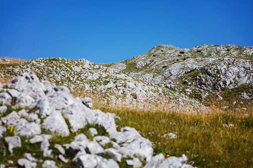 Summer scene in high mountains, rocks with high peaks in background