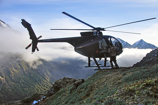 FRANZ JOSEF, NEW ZEALAND, JULY 29, 2012: A hunter unhitches his Himalayan Thar retrieved by helocopter in the mountains behind Franz Josef, New Zealand.