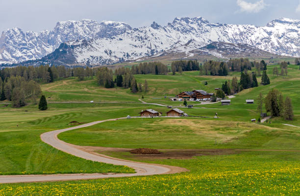 セイサー alm、南チロル - travel seiseralm mountain european alps ストックフォトと画像