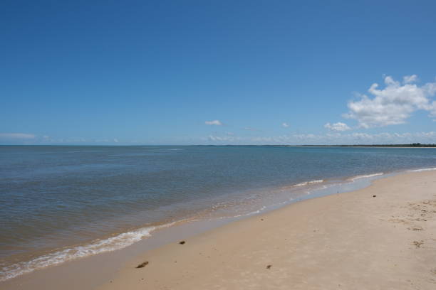 Paradisiac Beach At Bahia, Brazil