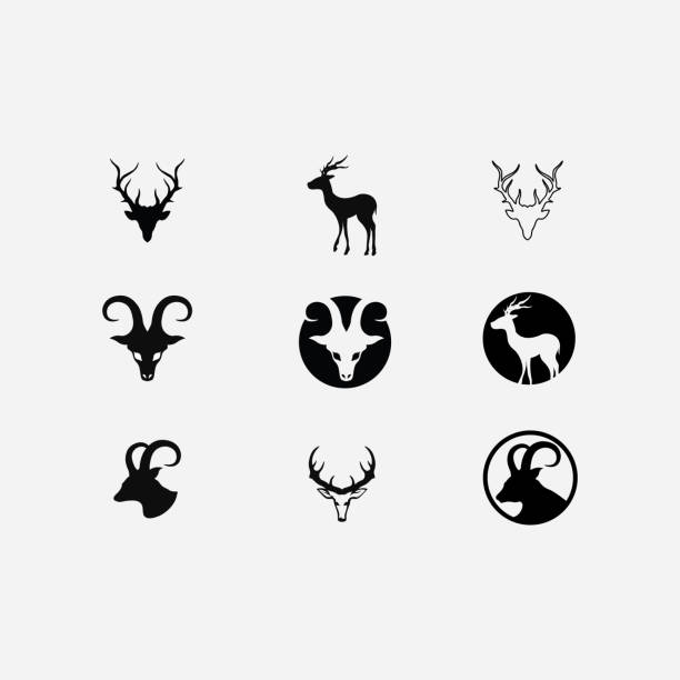 사슴 로고 동물과 포유류 디자인 및 그래픽 벡터 - antler stag deer animal skull stock illustrations