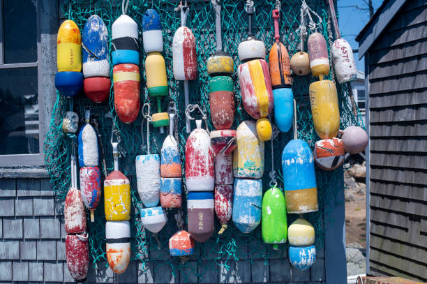 istock Wooden buoys hanging on a wall 1494435916
