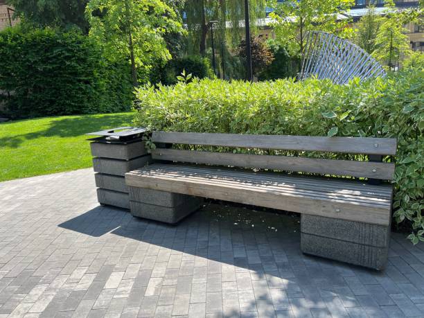 istock Wooden bench in summer park. 1494441311