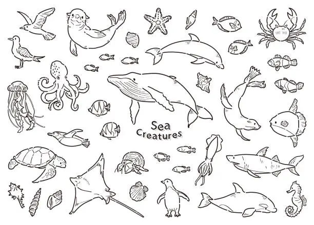 Vector illustration of Sea creatures illustration set line drawing