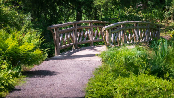 Free Stock Photo of Rustic wooden bridge in a lush park | Download Free ...