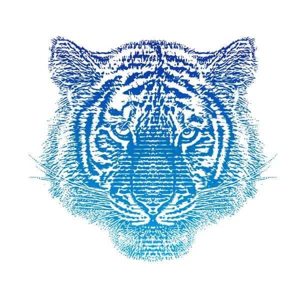 Vector illustration of Siberian Tiger Head